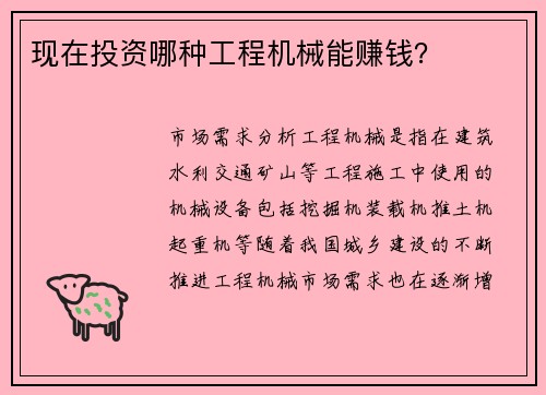 现在投资哪种工程机械能赚钱？