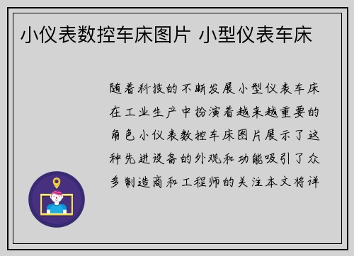 小仪表数控车床图片 小型仪表车床